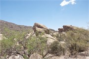 Tucson 2574
